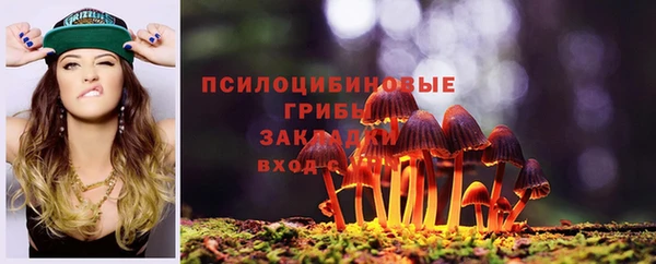 бошки Абдулино