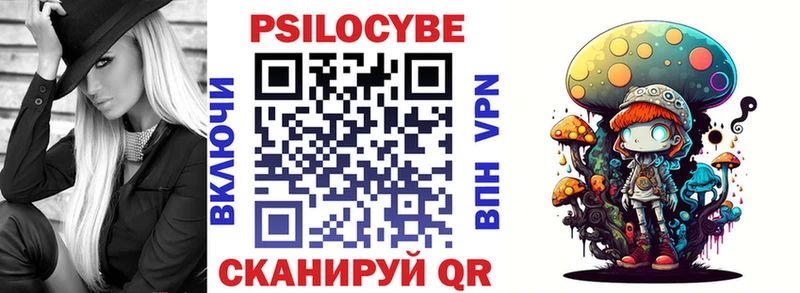 закладка  Кумертау  Псилоцибиновые грибы Cubensis 